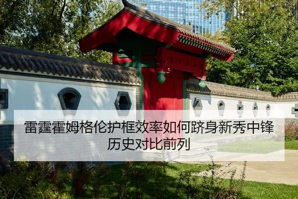 雷霆霍姆格伦护框效率如何跻身新秀中锋历史对比前列
