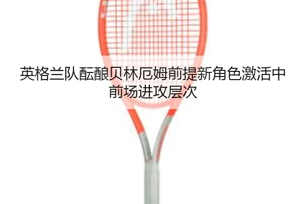 img_1781877772309_354_1_904.jpg
